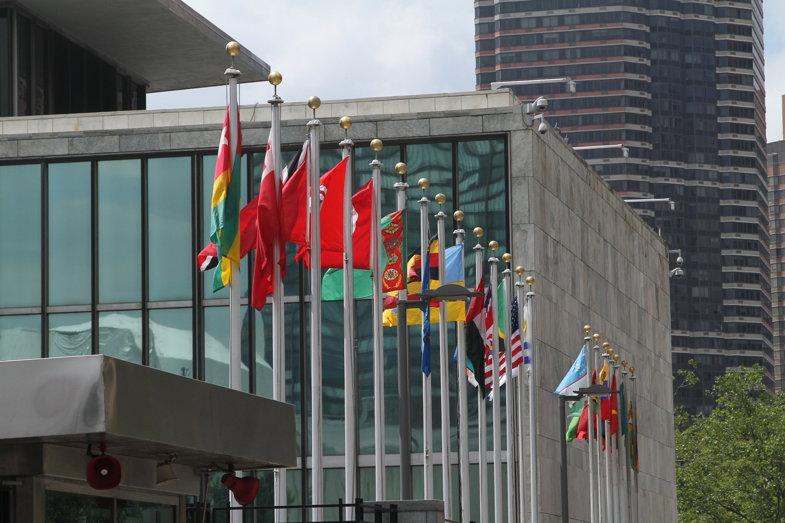 Learn a new language! ( Credit )